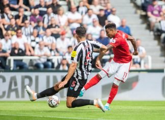 Can Nottingham Forest Hold Their Own This Year In The Premier League?